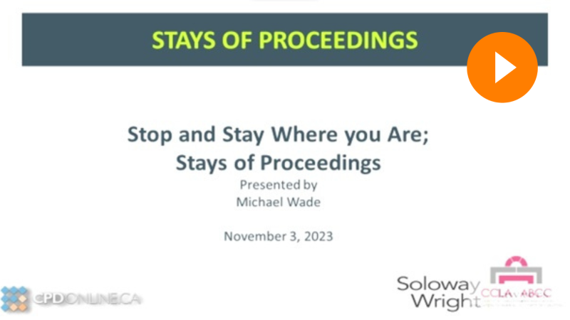 The Appellate Function; Time to Get a Move On: A Limitations Update; Stop and Stay Where you Are: Stays of Proceedings